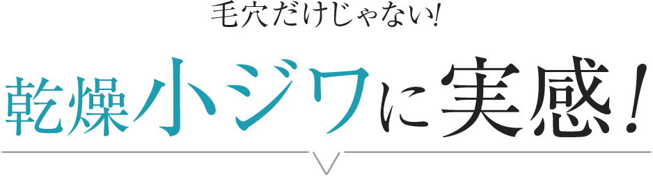毛穴だけじゃない!乾燥小ジワに実感!
