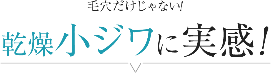 毛穴だけじゃない！乾燥小ジワに実感！