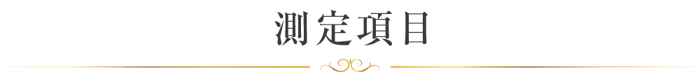 測定項目