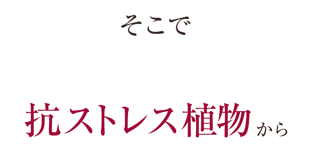 そこで抗ストレス植物から