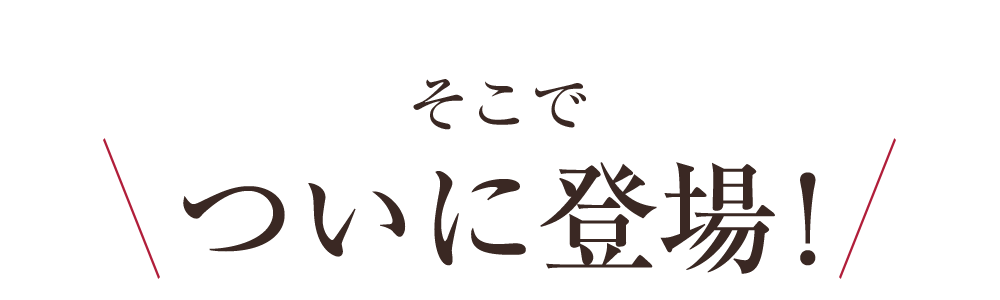 そこでついに登場