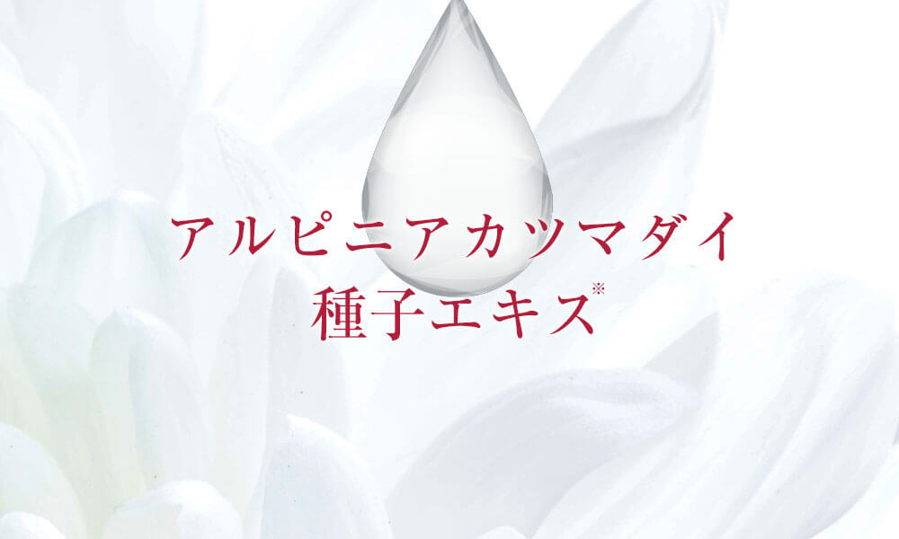 アルピニアカツマダイ種子エキス