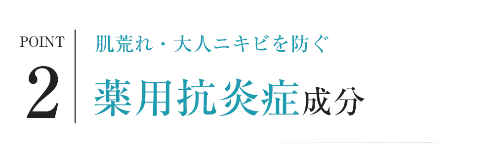 POINT2 肌荒れ・大人ニキビを防ぐ 薬用抗炎症成分